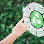 Significado del Curtailment